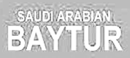 Saudi Arabian Baytur